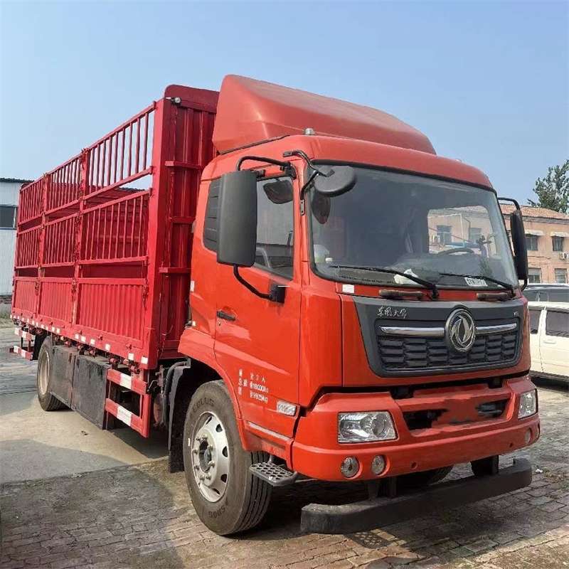 武定县探索龙湖镇多元物流服务与运输奥秘