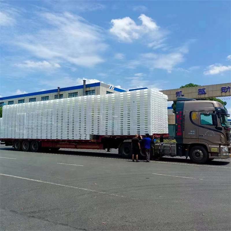 武定县中原镇物流：多元专线运输的探索与实践