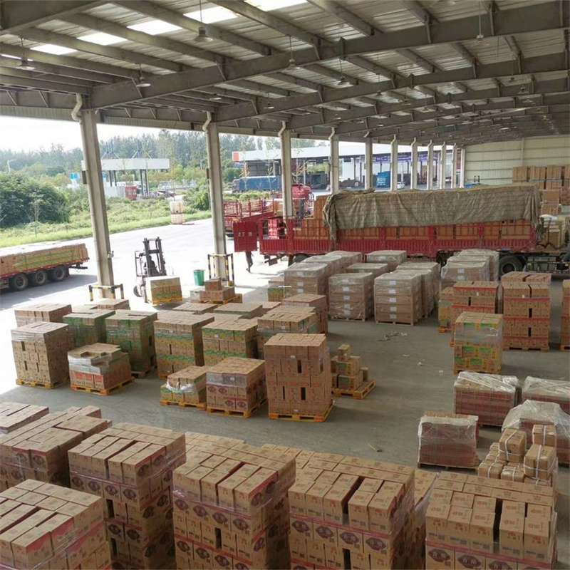 武定县吉阳区物流：多元服务与运输线路探秘