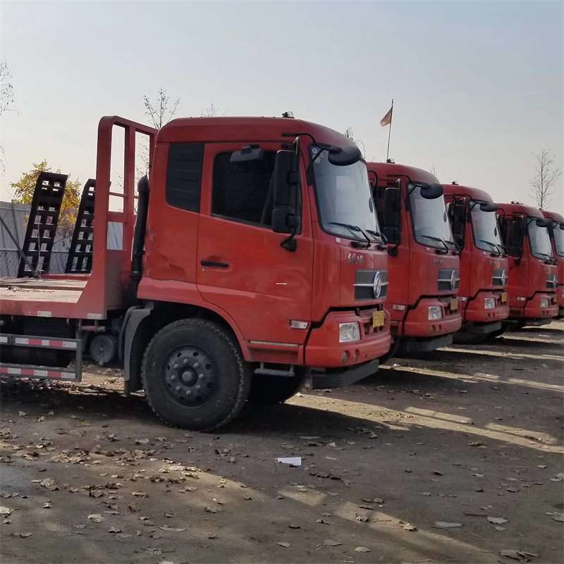 武定县巴楚县：物流专线的高效货运之旅