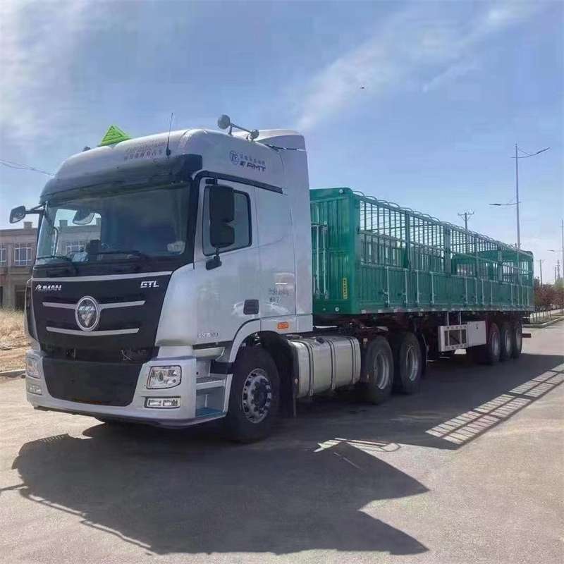 武定县麦盖提县：物流专线的高效货运之旅