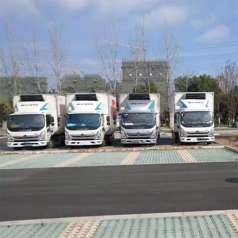 武定县南丰县物流：专线直达背后的多元运输世界