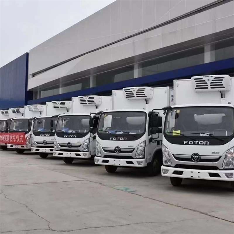 武定县阳明区物流：多元服务与高效运输线路探秘