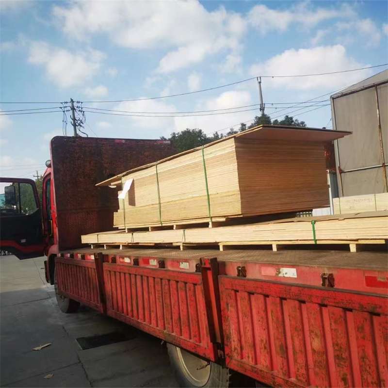 武定县通化市物流运输：多元服务与高效线路探秘