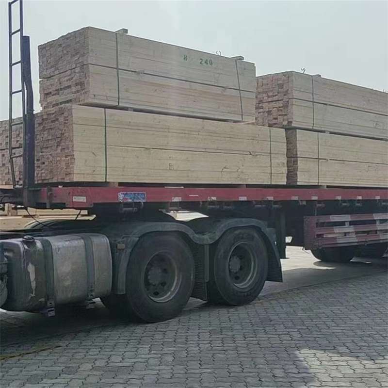 武定县探索丰满区多元物流服务与运输线路奥秘