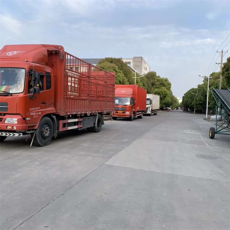 武定县胡杨河市物流专线：直达运输的多样魅力