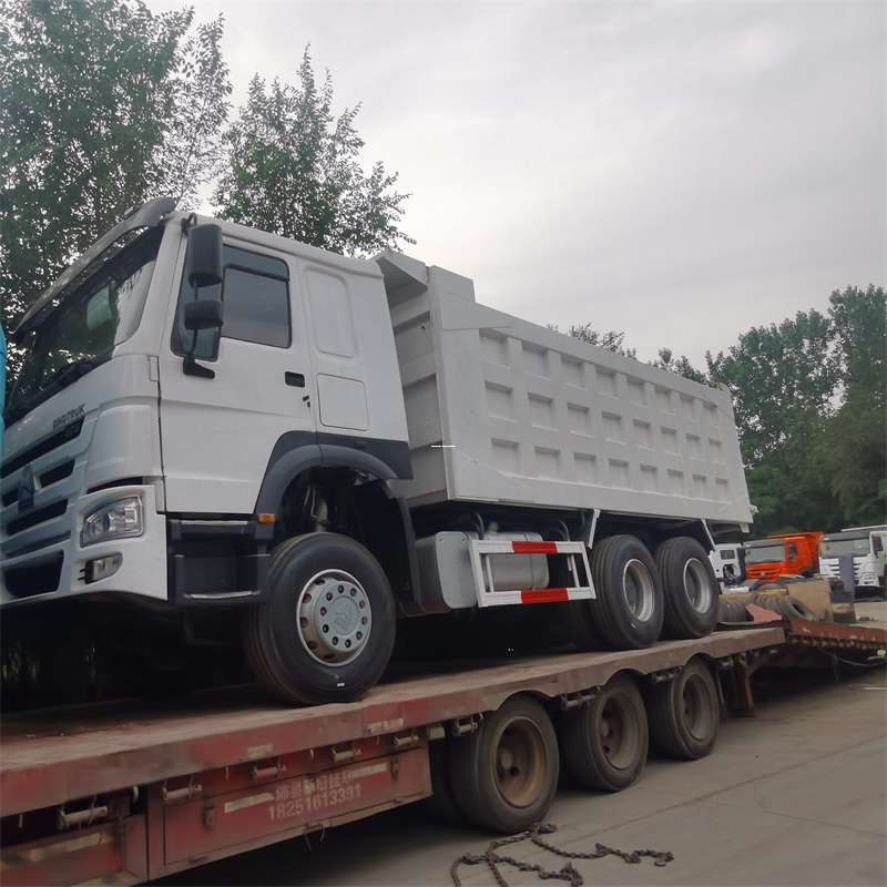 武定县沙依巴克区物流运输：多样服务与高效线路探秘