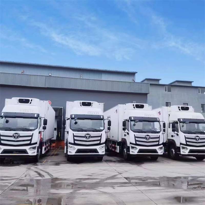 武定县新龙县进仓物流：多元专线直达运输探秘