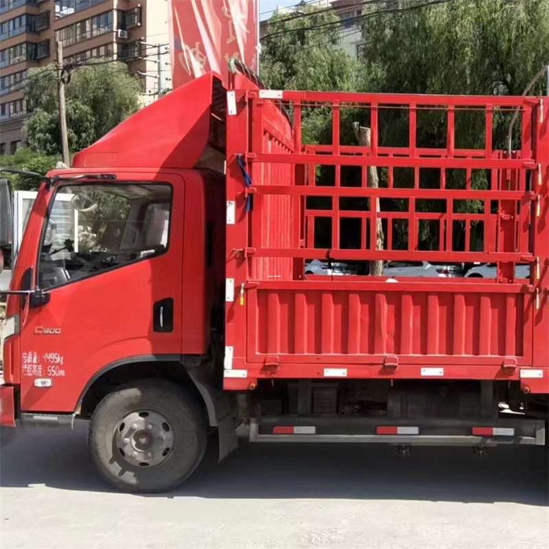 武定县雅安市物流专线：大件出口快运的多维探索