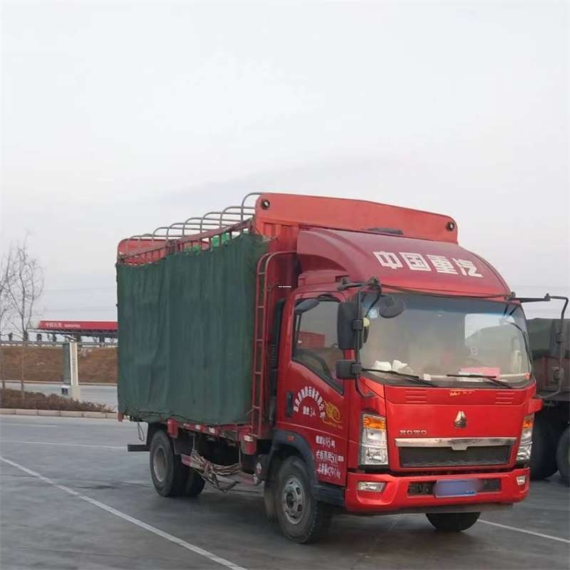 武定县镇巴县物流：多元运输服务与线路探秘