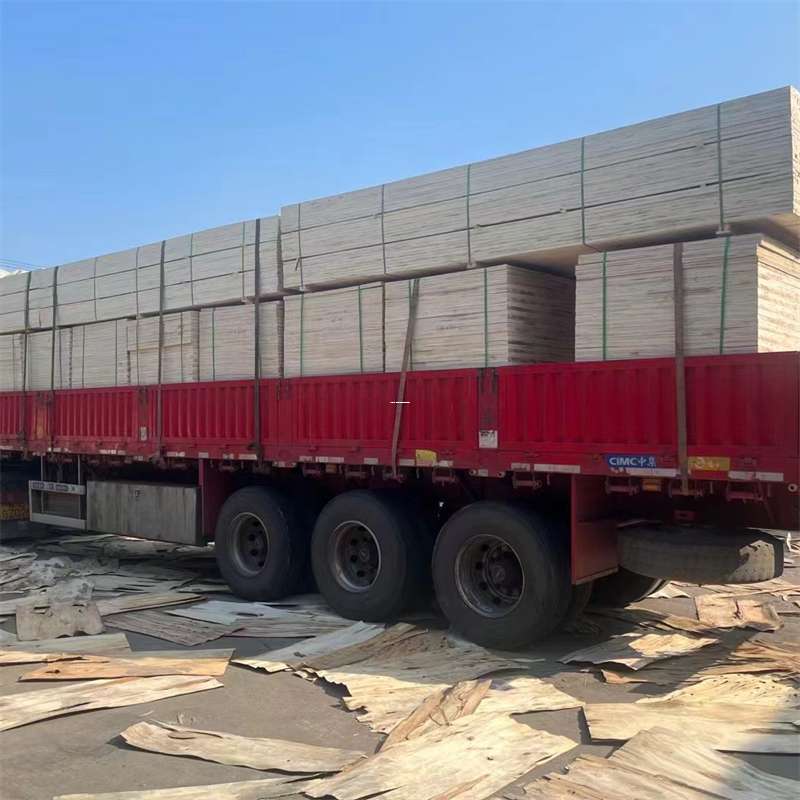 武定县岑巩县物流：多元服务与高效运输线路探秘